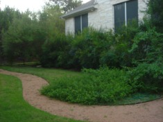 2006-08-01-6607 Conifer Cove-15.jpg